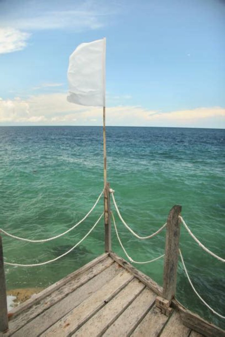 Rosalia Boyfriend: Meet Rauw Alejandro