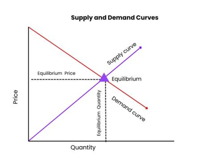 What assumption is used when making demand curves