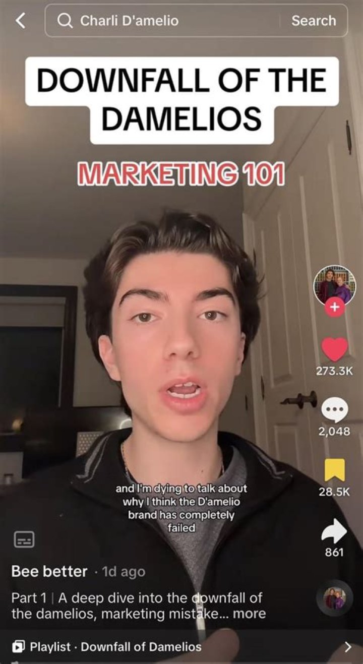 The Rise And Fall Of The D'Amelio Family