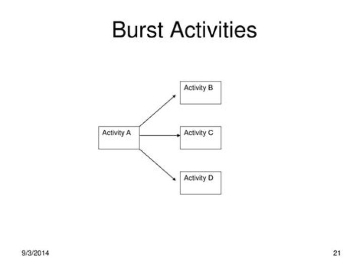 Discoveries And Insights In Project Management