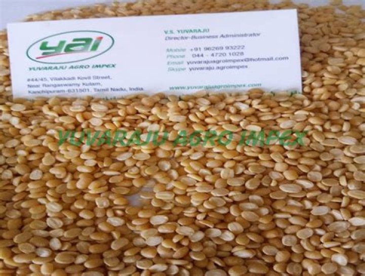 A Culinary Journey Into Its Essence