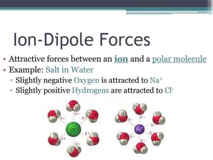 What is the Difference Between Ion Dipole and Dipole Dipole Forces