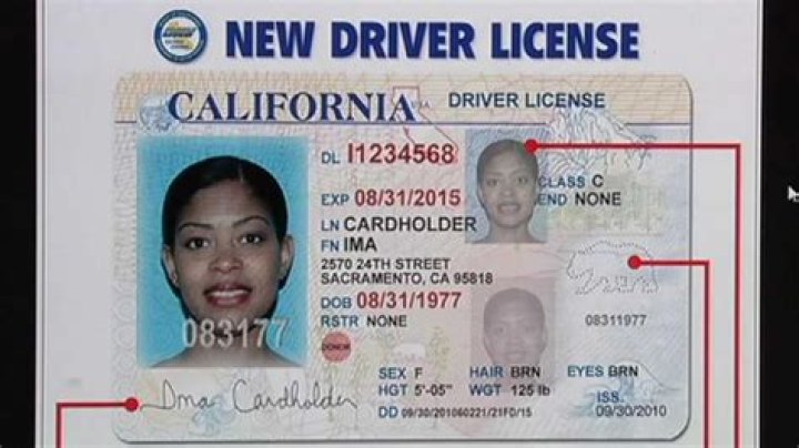 Locate Your License Number: A Comprehensive Guide