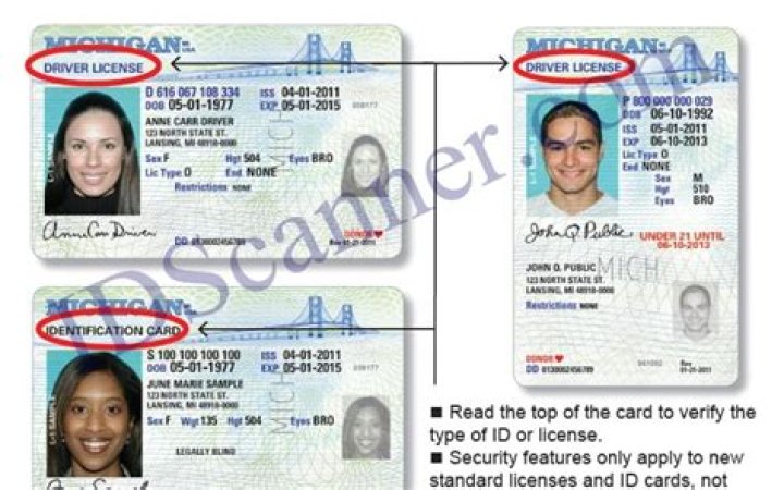 Locate Your Driver's License Number: A Comprehensive Guide