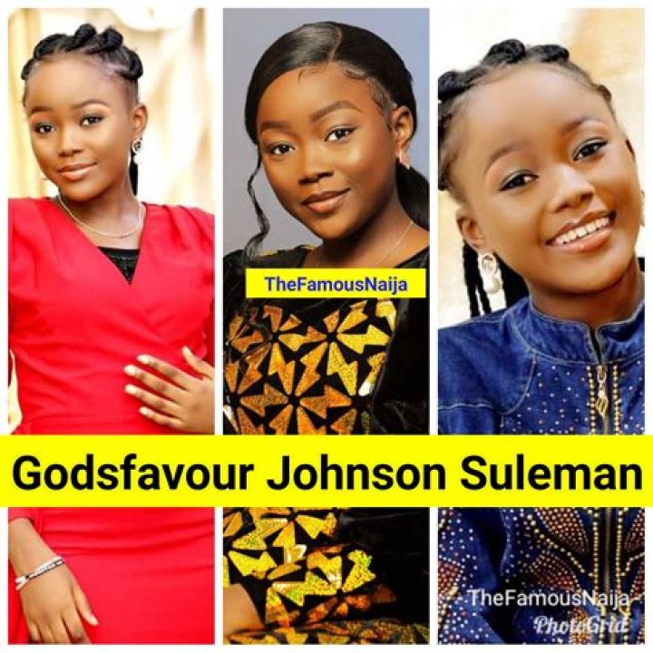 Who Is Apostle Johnson Suleman?