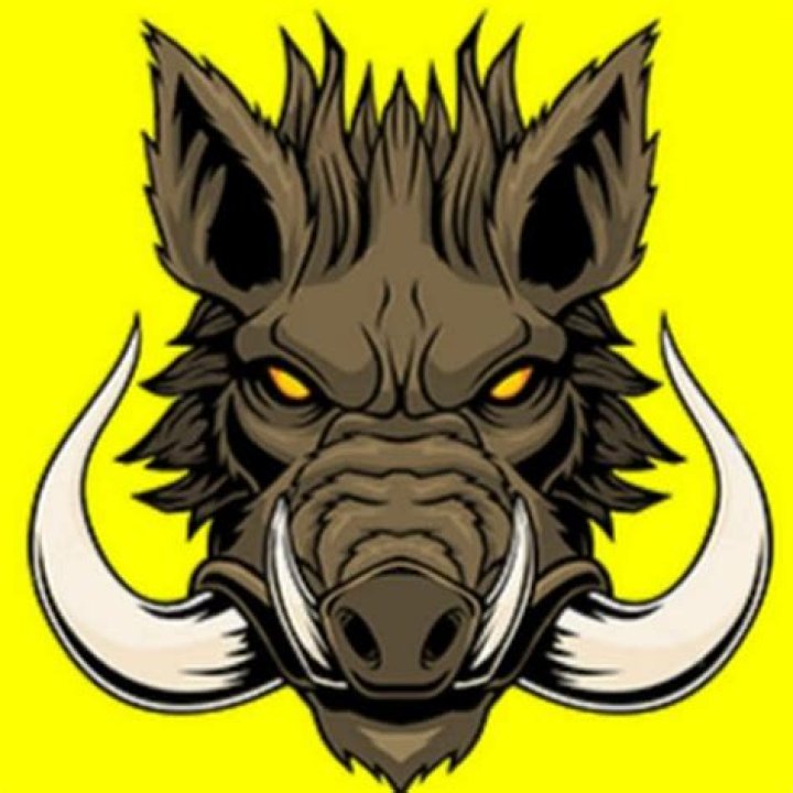 Who Is Mellstroy Married To?