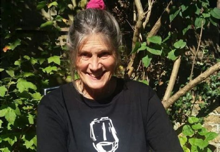 Discover The World Of Tom And Merlin Bateman